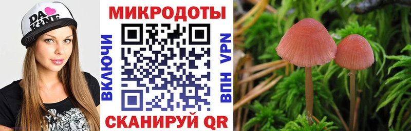 цена   Нижний Ломов  Галлюциногенные грибы GOLDEN TEACHER 