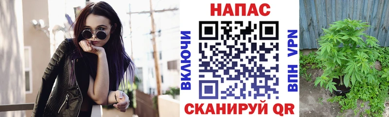 Конопля планчик  мега ТОР  Нижний Ломов 